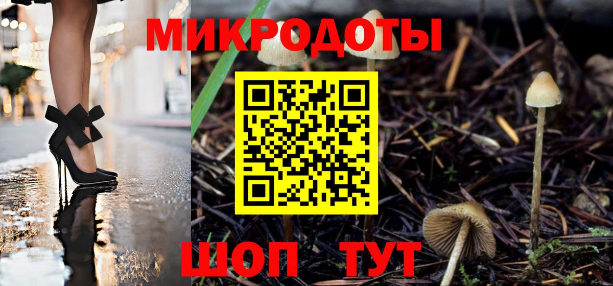 Псилоцибиновые грибы прущие грибы Елизово
